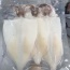 Mực lá câu 3 nắng ngon tuyệt